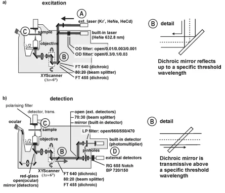 Figure 23: Schematics of the used confocal microscopy setup based on a Zeiss LSM410. 