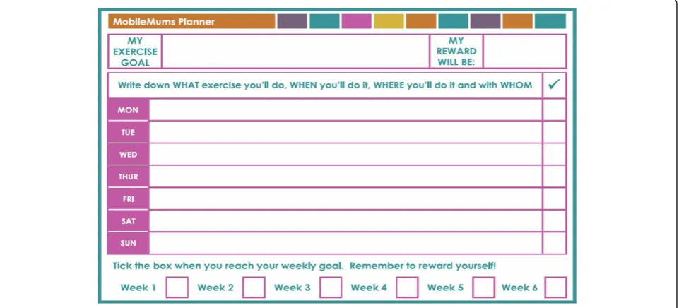 Figure 2 MobileMums refrigerator magnet.