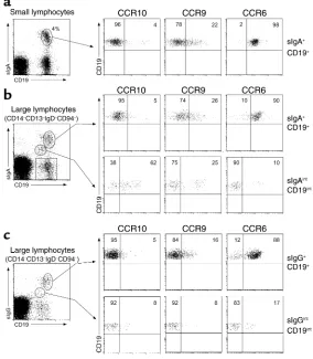Figure 5Subsets of circulating blood IgA plasmablasts expresssome CCR10CCR9 (28% ± 3%), and CCR6 (90% ± 2%) in a patternsimilar to small sIgAexpress CCR10 (3% ± 2%), while some expressed CCR9(14% ± 3%), and almost all expressed CCR6 (84% ± 6%).Plasmablasts