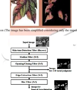 Fig 3: Feature Extraction (The image has been simplified considering only the important information) [10]
