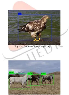 Fig 8(a): Output of image eagle.jpg.  