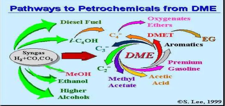 Figure 1. Pathways to petro chemicals from dimethyl ether 