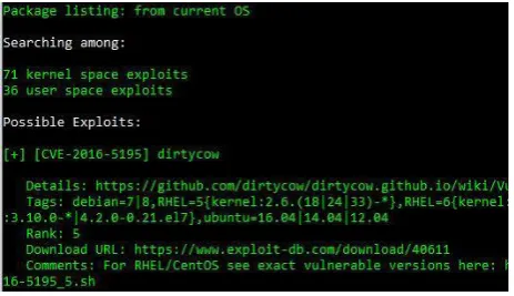 Figure 9 Result of shell script execution enumerates the version of the Linux Machine and then searches through available exploits across the worldwide web
