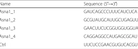 Table 1 SiRNAs used for gene silencing