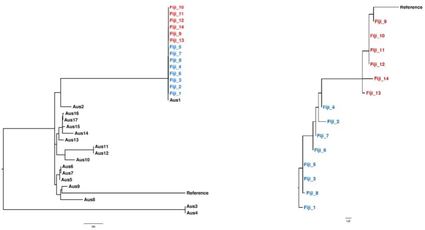 Figure 4 Phylogenetic analysis of Acinetobacter baumannii ST2 outbreak isolates in blue (collected in December to Feb) and red (collected May to June), in context with published ST2 isolates from Australia