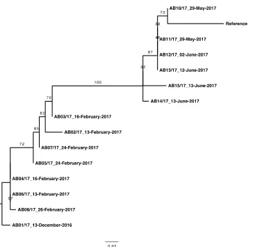 Figure 5 - Maximum-likelihood tree inferred from recombination-free alignment  