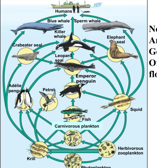 Fig. 4.18, p. 77Humans