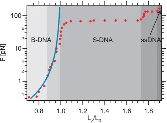 Figure 3.1: Force versus relative extension of dsDNA: Data points are taken fromof ssDNA (very dark grey)