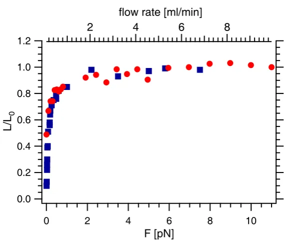 Figure 6.6: Estimation of the applied force: The relative extension of a partlyejected DNA molecule is plotted versus the ﬂow rate (red dots)