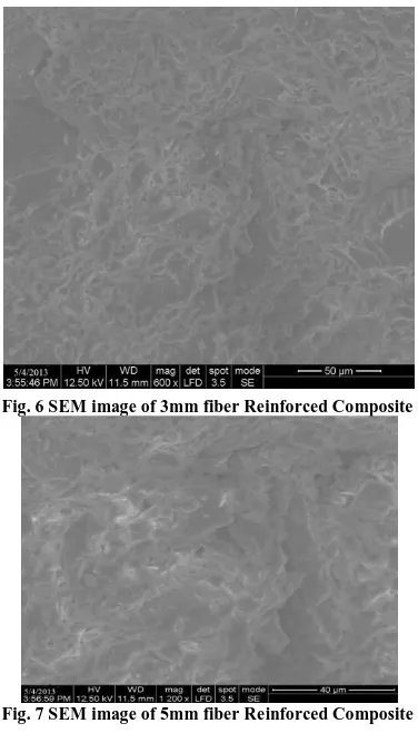 Fig. 8 SEM image of 7 mm fiber Reinforced Composite   