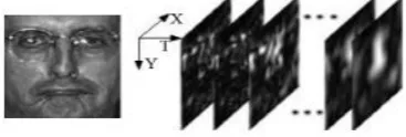 Fig.3. Face image and its corresponding third-order Gabor volume.  
