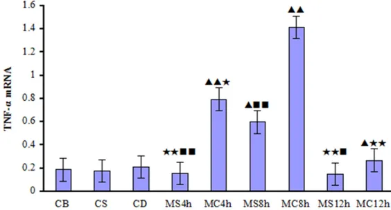 Figure 5. SCH58261 affects adenosine A2AR mRNA expressing after mi-croglia OGD/R (_x  ± s) (n=3)