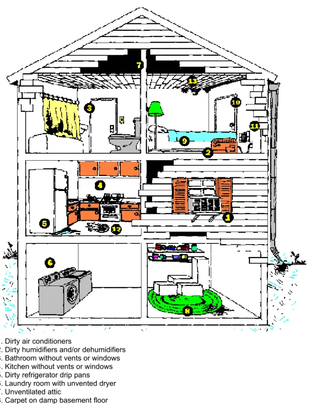 Fig. 1 : Indoor pollutant sources (Source: http://www.cpsc.gov/cpscpub/pubs/425.html)