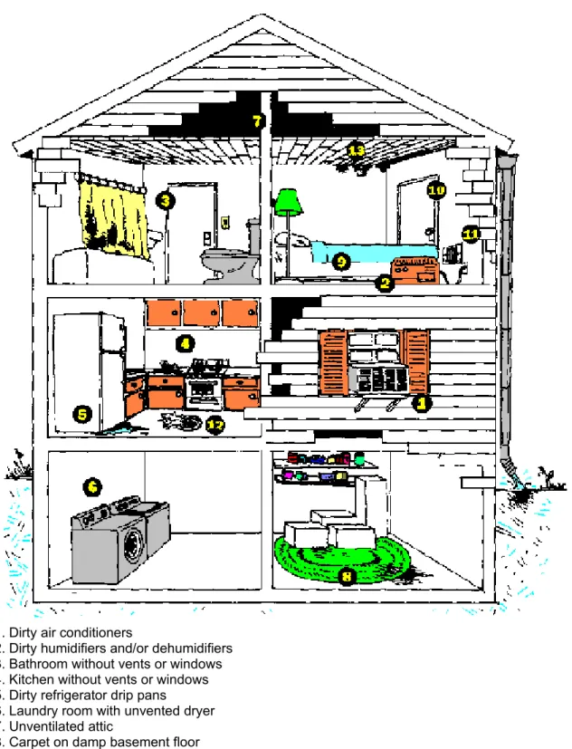 Fig. 1 : Indoor pollutant sources (Source: http://www.cpsc.gov/cpscpub/pubs/425.html)