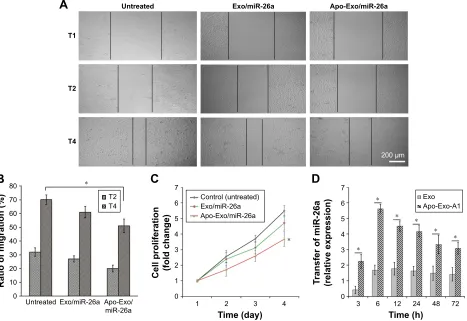 Figure 4 confocal images of cy5-labeled mir-26a-loaded apo-exo in hepg2 cells recorded at different time points.first list is 50 Notes: (A) The uptake of apo-exo in different time points (1 h, 3 h, 6 h, 12 h, and 24 h)