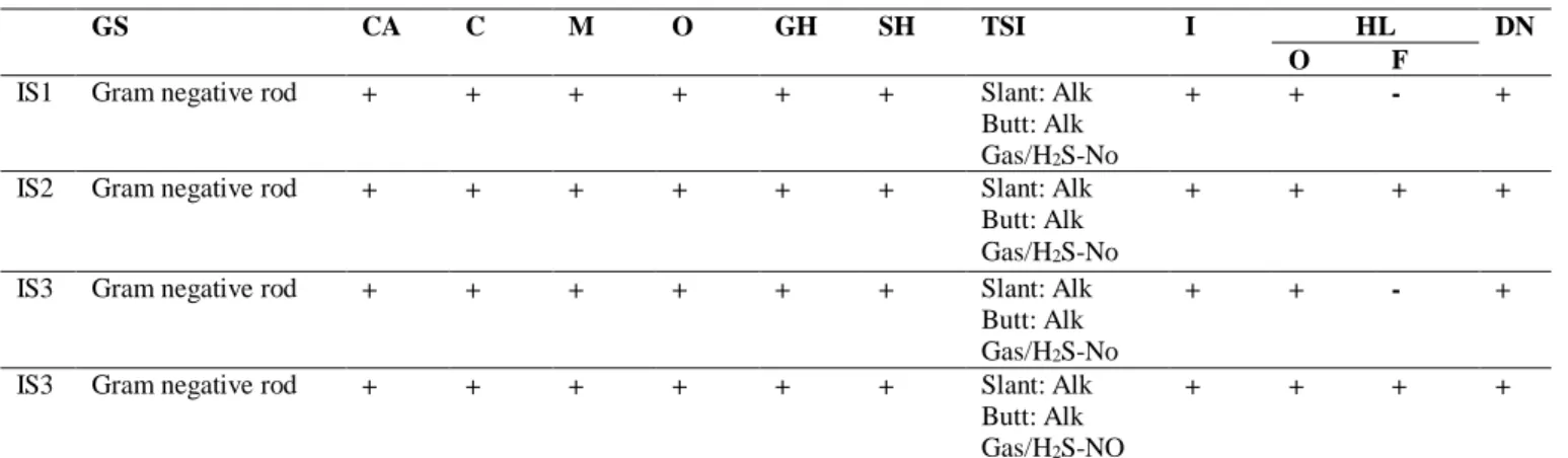 Table 1. Identification of bacterial isolate 