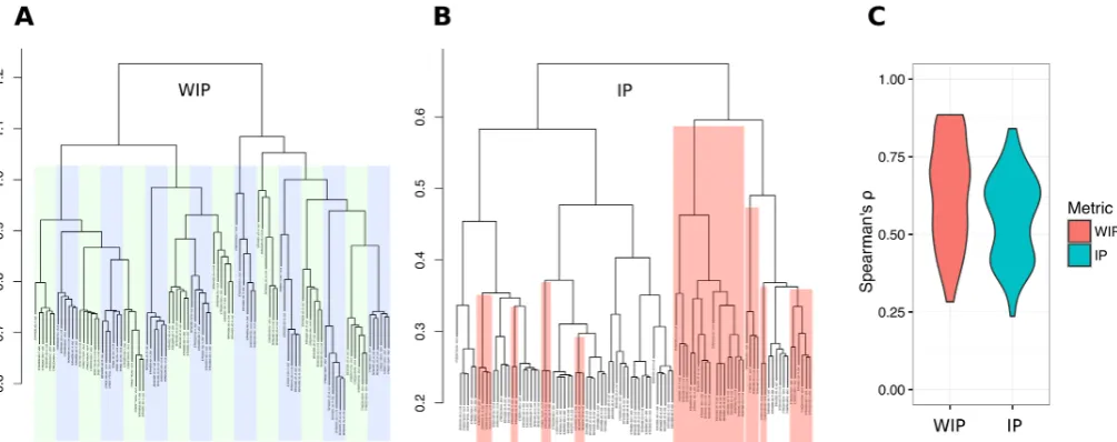 Fig 3. Weighting improves the accuracy of replicate clustering. (A) and (B) show a representative example, demonstrating that (A) the weighted(IP) fails to cluster several replicates correctly (indicated by red highlighting)