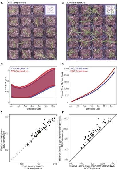 Figure 2 Differential growth ofresponse of agronomic traits to small change in the climate for a Winter sowing in the Wagga Wagga region, south-eastern Australia