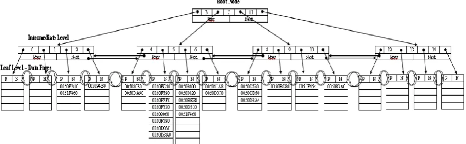 Figure 1: Index Structure for the Proposed Indexing Technique  