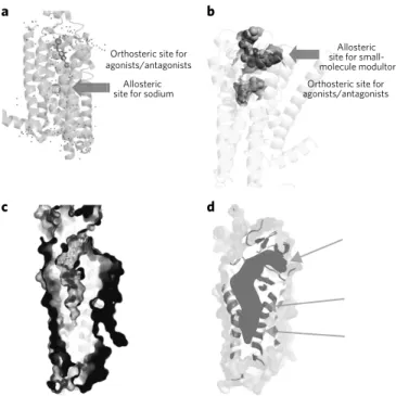 Figure 3 | Multiple allosteric sites for GPCRs. (a) Site for the negative  allosteric modulator (NAM) sodium in prototypical GPCRs, revealing its  conserved location