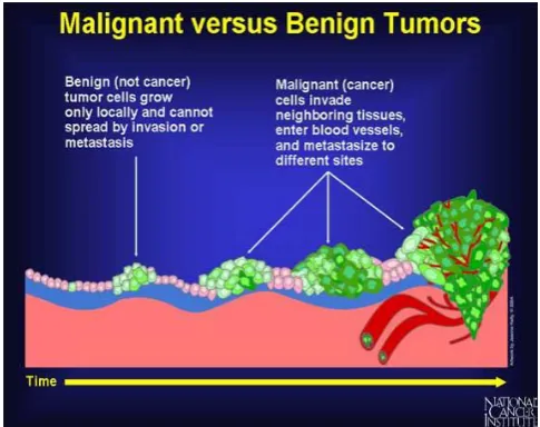 Fig -1: Malignant versus Benign Tumors  