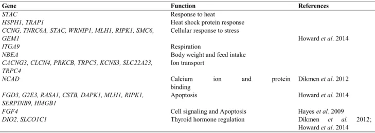 Table 2. Candidate genes for cattle thermoregulation 
