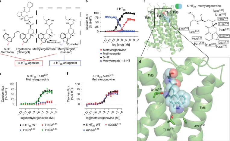 Fig. 1 | Structural insights into a 5-HT 2B  activation mechanism. a, Structure–activity relationship of 5-HT 2B R ergoline ligands comparing unsubstituted  N(1)-H ligands (red) (such as 5-HT, ergotamine and methylergonovine) to N(1)-methyl methysergide (b
