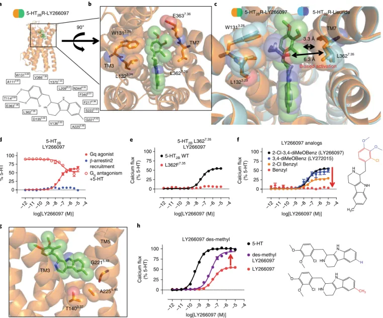 Fig. 5 | Structure of the 5-HT 2B R–Ly266097 complex reveals TM7 as a trigger for biased signaling