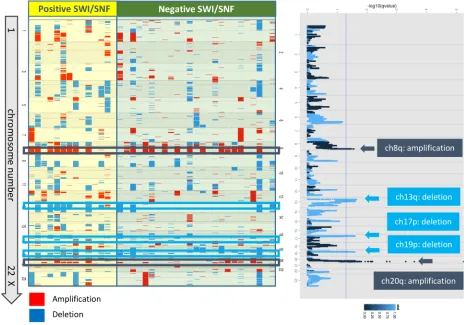 Figure 4: Copy number alterations according to chromosomal loci. Left) DNA copy number changes are represented as pseudo-color gradients corresponding to the copy number increase (red boxes) and decrease (blue boxes)