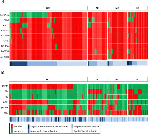 Figure 1: Expression heatmaps. a. Expression of nine subunits belonging to the SWI/SNF complex