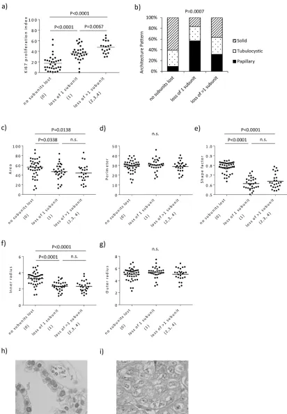 Figure 2: Distinctive proliferation and morphological features based on SWI/SNF complex expression status