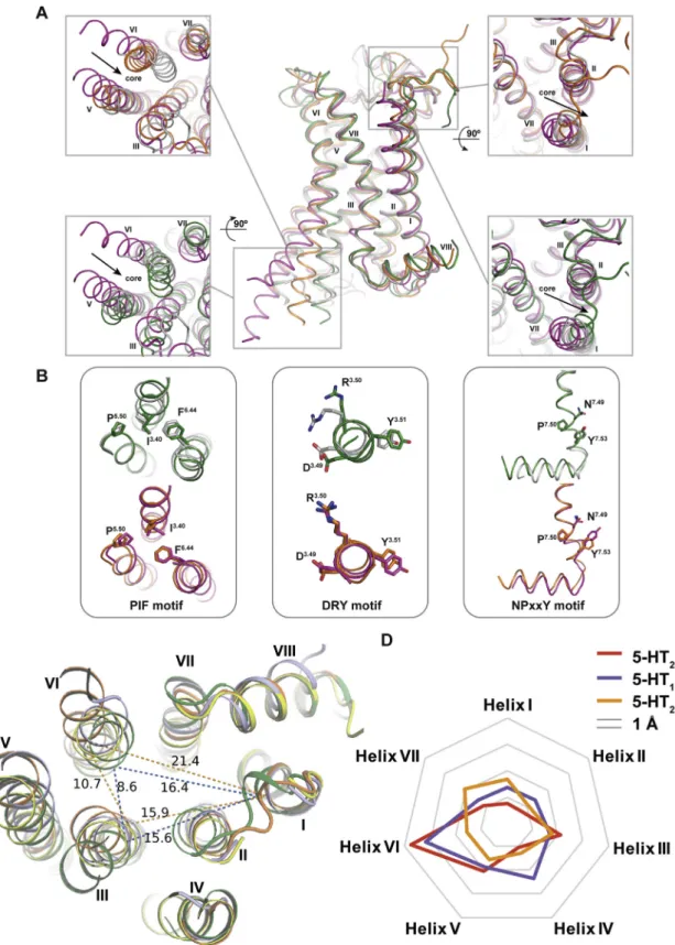 Figure S2. Structural Alignment of 5-HT 2C -ERG and 5-HT 2C -RIT with b 2 AR in the Active State (PDB: 3SN6) and Inactive State (PDB: 3NY8) and Differences in the Relative Location at the Ends of Intracellular Helices in Four Serotonin Receptors Crystal St