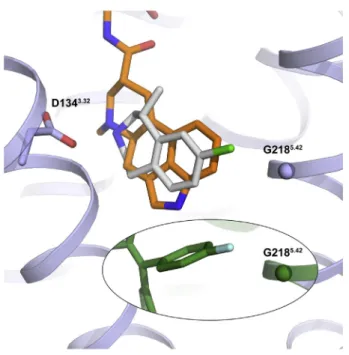 Figure S6. Binding Mode and Mechanism of Selectivity for Lorcaserin, Related to Figure 6