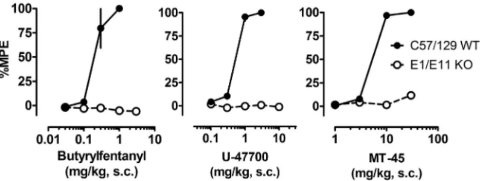 Fig. 6. Cumulative dose-response effects for NSO in the radiant heat tail ﬂick assay carried out in C57BL/6 J WT mice and those lacking the exon-11 MOR-1 splice variant (E11 KO).