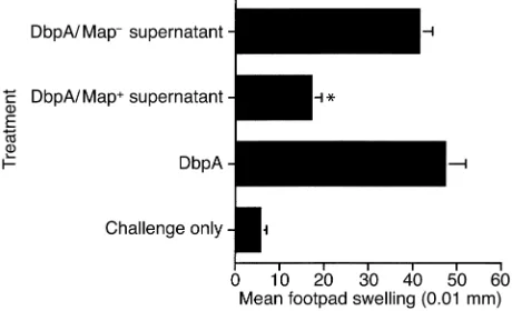 Figure 4Native Map-mediated inhibition of DTH. DbpA-immunized mice