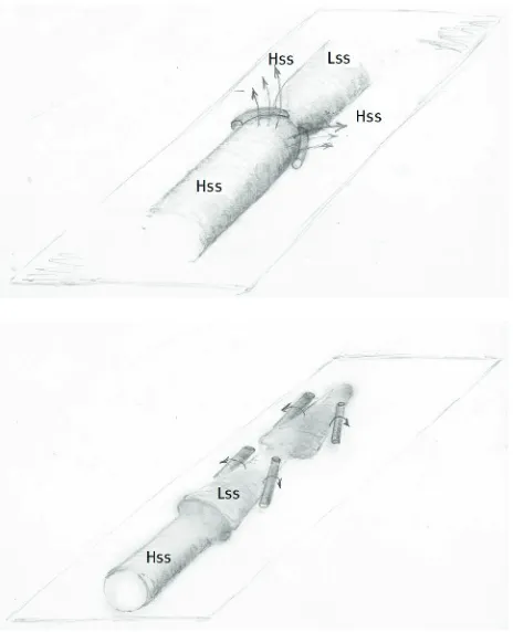 Figure 13. Artist impression of the start (top) and development (bottom) of vortical structures in a varicose breakdown (hss and lss are high-speed and low-speed streak, respectively)