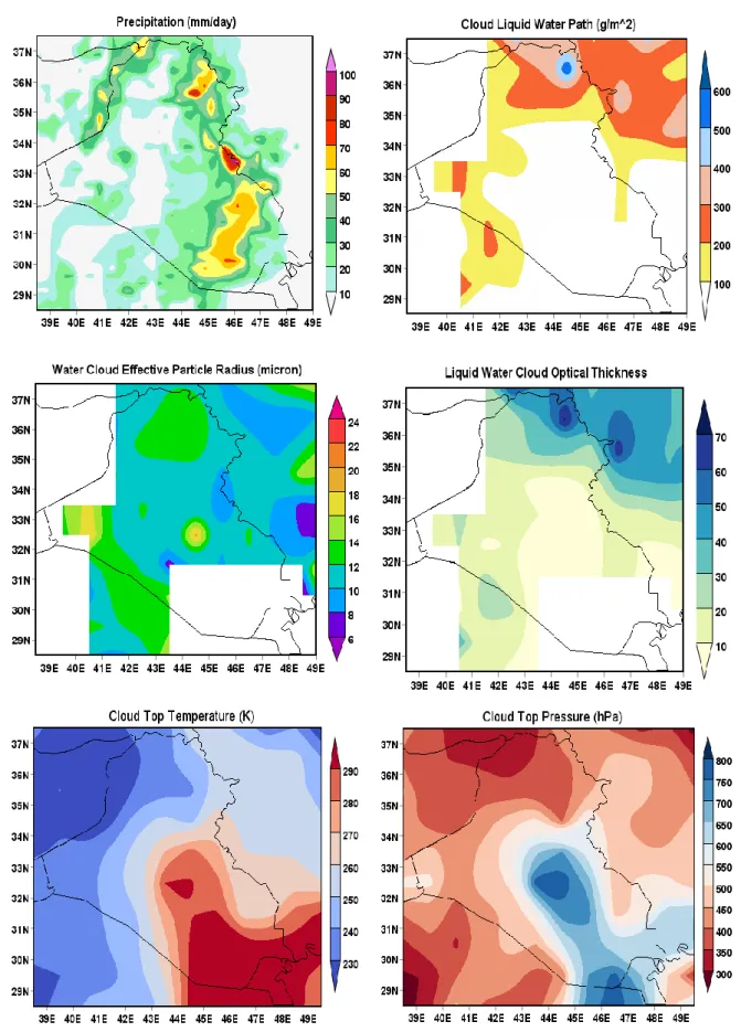 Fig. 8. Precipitation rate and cloud microphysics parametes for rainstrom event over Iraq on Jan 27, 2014 