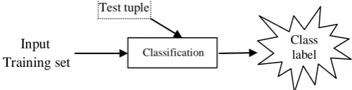 Figure 1. Schematic diagram for class label prediction. 