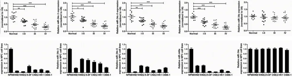 Figure 1: MiR-34b/c cluster and miR-449a are down-regulated in NPC samples and NPC cell lines