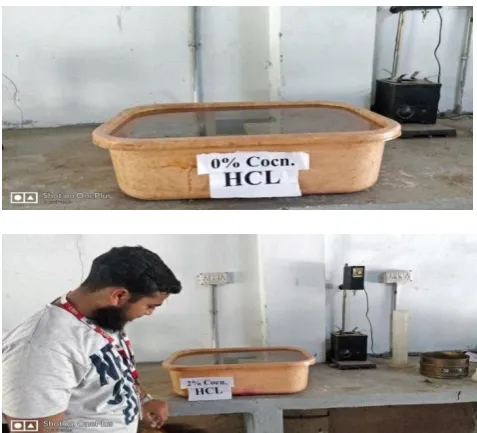 Figure 3: Cubes of HCL 5% Concentration. and 8% Concentration. 