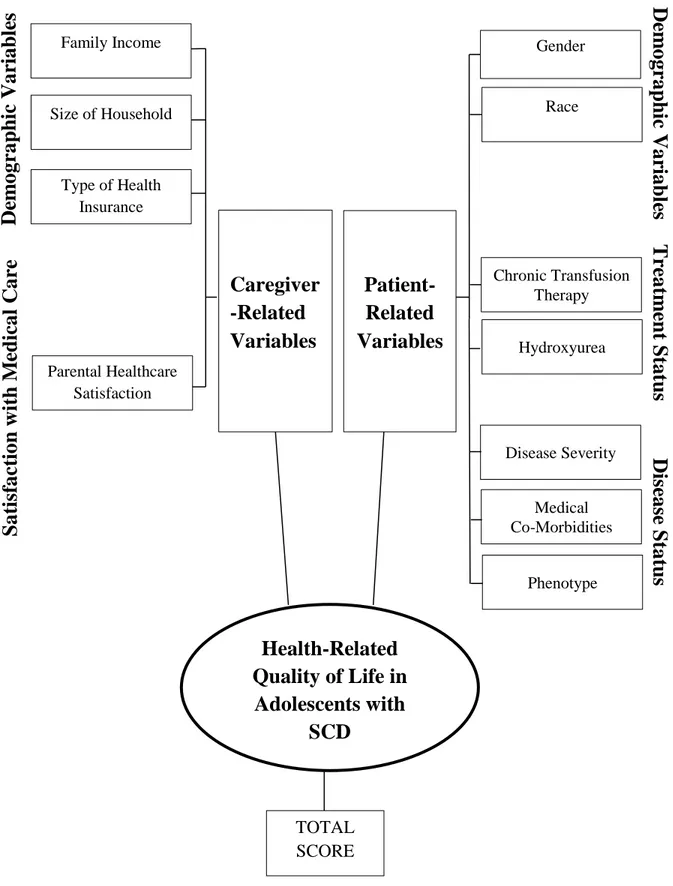 Figure 4.1.  Modified conceptual framework for health-related quality of life in children with  sickle cell disease