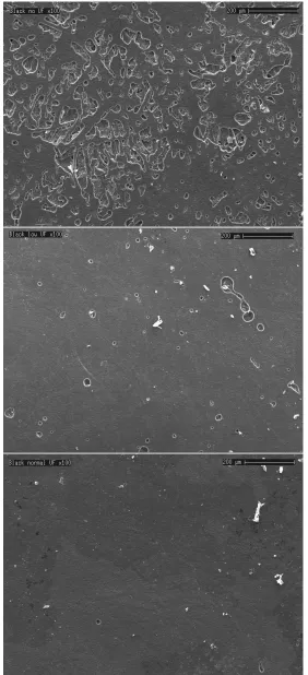Figure 3.31: SEM images of the MF coating on the surface of Black, from top to bottom; showingno, low and normal UF saturation respectively demonstrating the considerable variability in individualunﬁlled pore area.