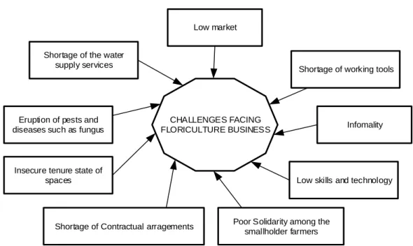 Figure 1: Challenges facing Floriculture business (Source: Survey Data, 2016) 