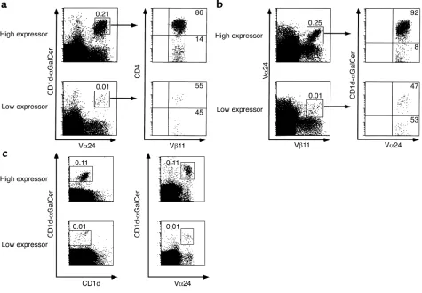 Figure 1Specific identification of human NKT cells in PBLs. (