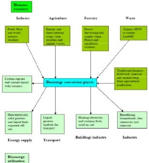 Figure 4. Biomass resources from several sources  are converted into a range of products for use  