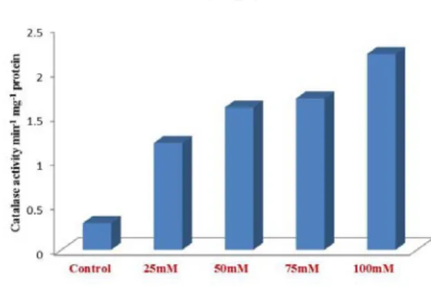 Fig. 6. Estimation of Total phenol after treatment  Catalase activity 