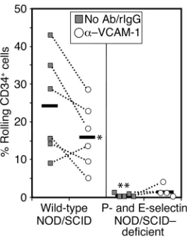 Figure 3Role of P- and E-selectins and VCAM-1 in the initial interactions of
