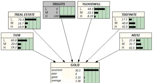 Figure 3. Inference in the obtained Bayesian network 