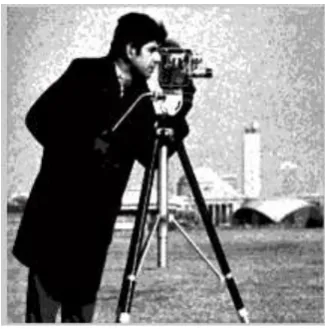 Figure 9 TVMM denoising image   
