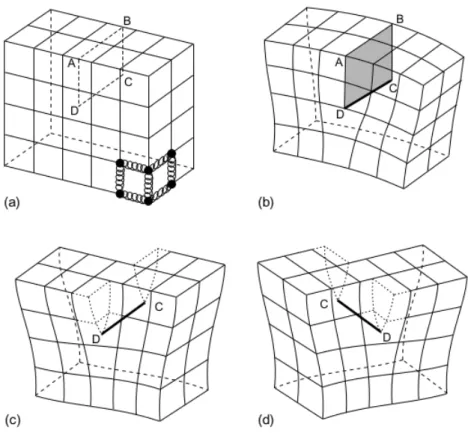 Figure 1.6: Undeformed crystal lattice (a), edge dislocation (b), screw dislocations (c,d) [3]